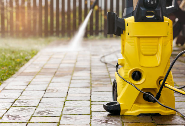 Animal Enclosure Cleaning in Allison, IA